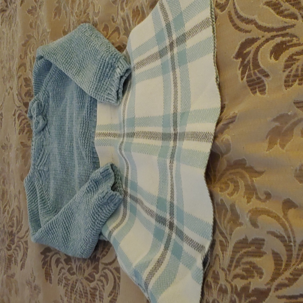 Toddler skirt and top